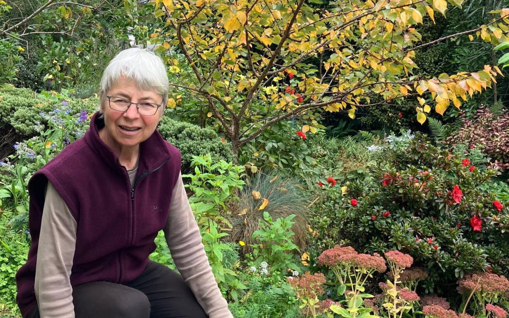 Sue Novell made her suburban quarter-acre home in Dunedin into a productive food garden with minimal lawn.