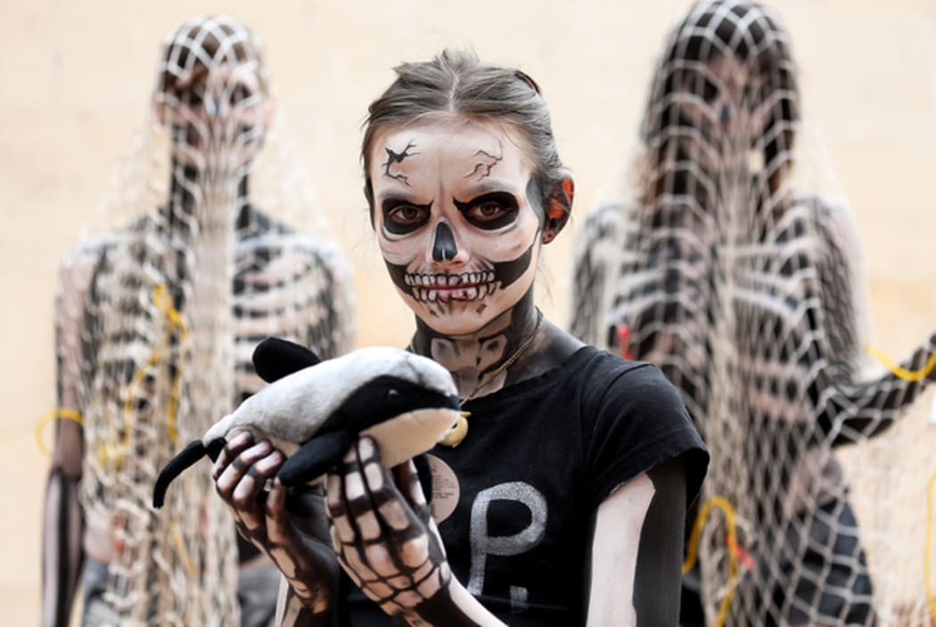 Protesters say five Maui's dolphins die due to human activities each year.