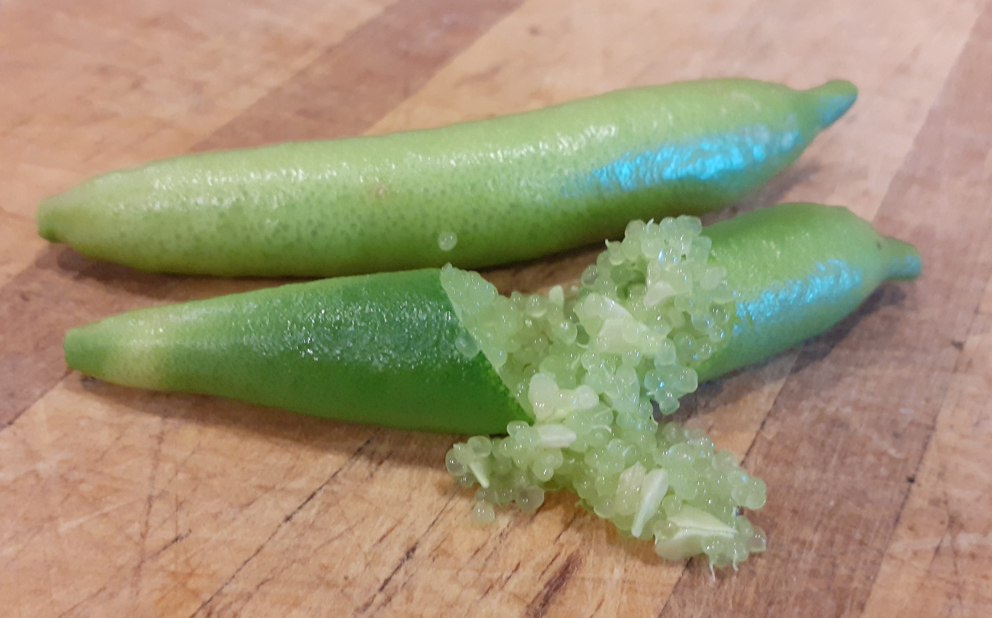 A finger lime from Ian and Louise Dodgshun's crop in Gisborne.