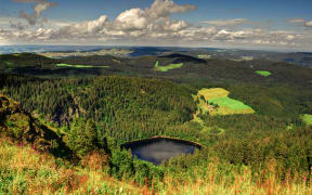 The Black Forest, Germany