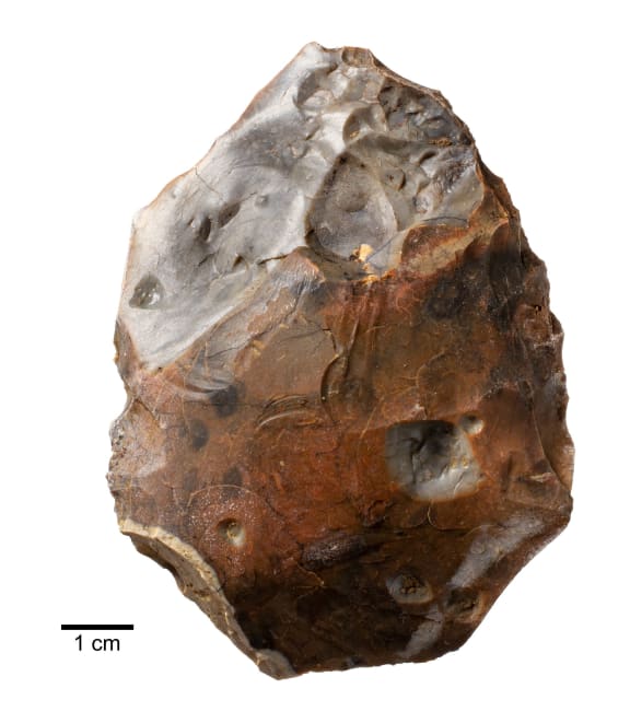 A heat-shattered handaxe, one of two found close to the 400,000-year-old hearth.