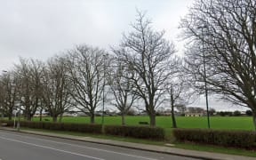 Barrington Park, Christchurch.