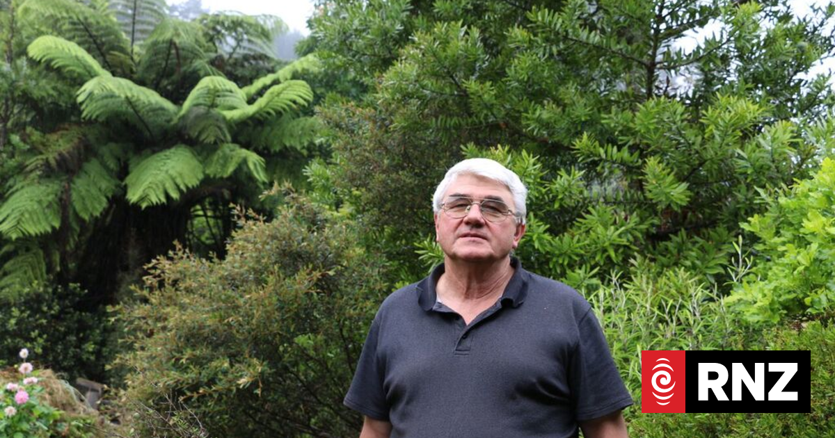 Pa Ropata on Rongoā Māori | RNZ