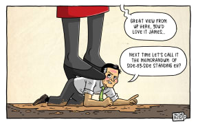 Jacinda Ardern is boosted up by James Shaw, with the Labour leader saying "great view from up here" and the Greens leader suggesting a "memorandum of side-by-side standing" would have been a better choice.