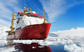 The British ice patrol ship HMS Protector.