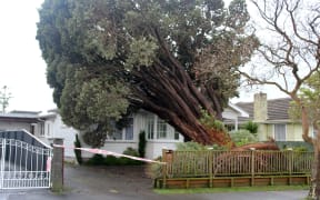 A pohutukawa resting on the roof of a house in Lower Hutt