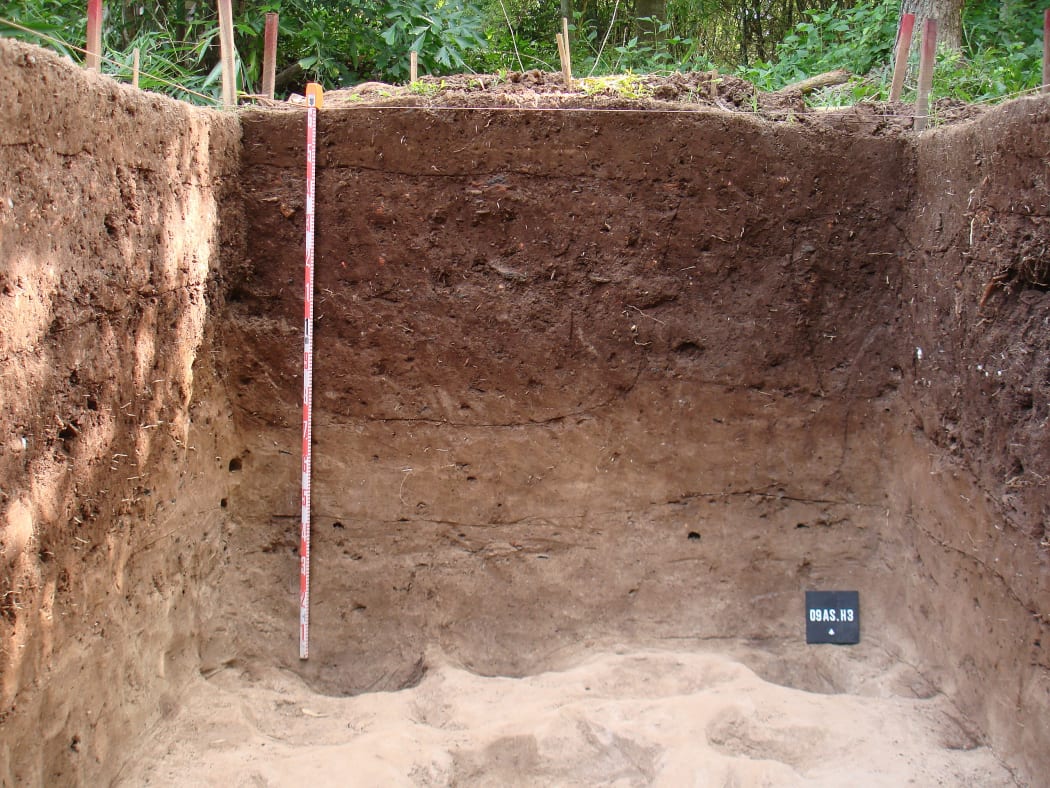 Photograph showing stratigraphic layers from an excavation at the An Son site, Vietnam. A measuring tape is along the left side for scale. The trench name is on a sign in the lower right hand corner.