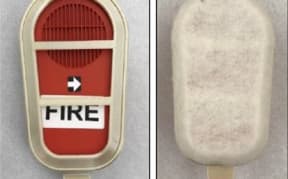Filters made by Lanaco for NASA's Orion Spacecraft.