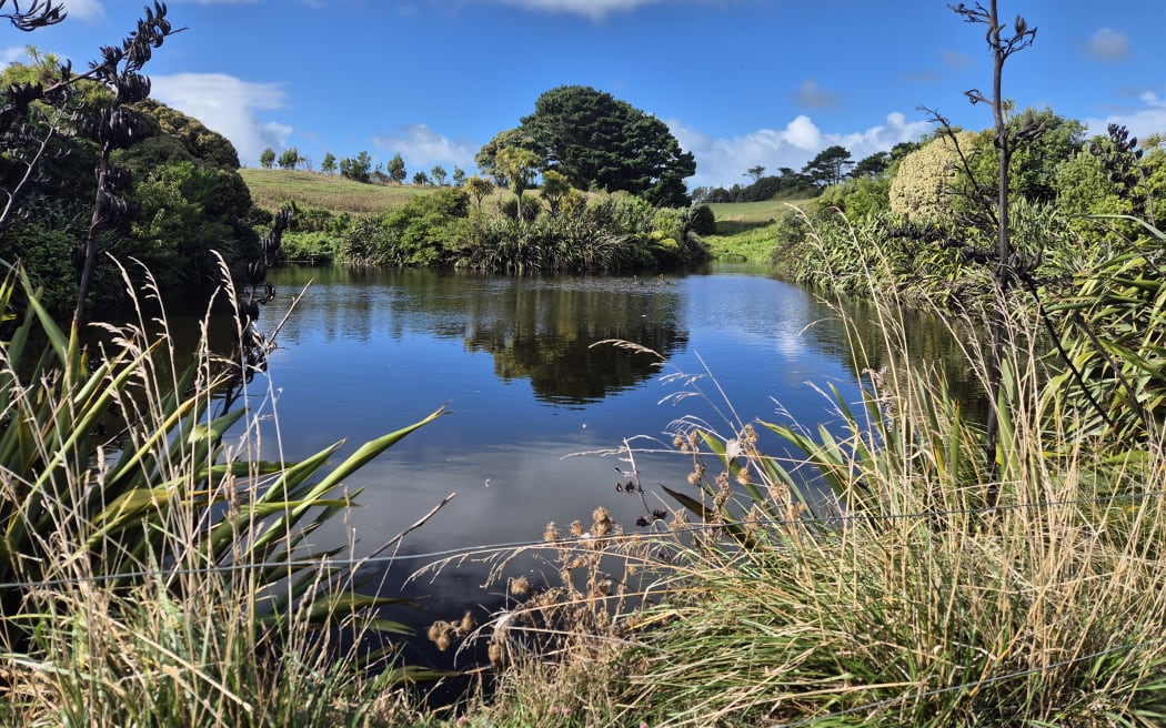 A small lake surrounded by native vegetation also helps reduce runoff.