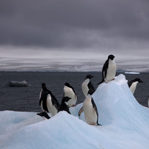 Photo for Antarctica
