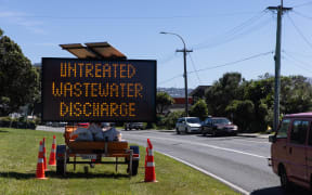 Signage on Wellington's Lyall Bay