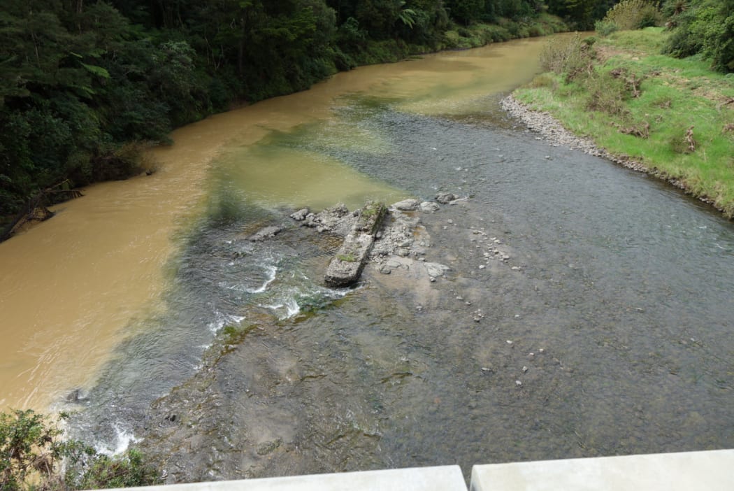 The confluence of Awarua and Mangakahia rivers at Twin Bridges west of Whangarei. Awarua silted on left and Mangakahia running clear.