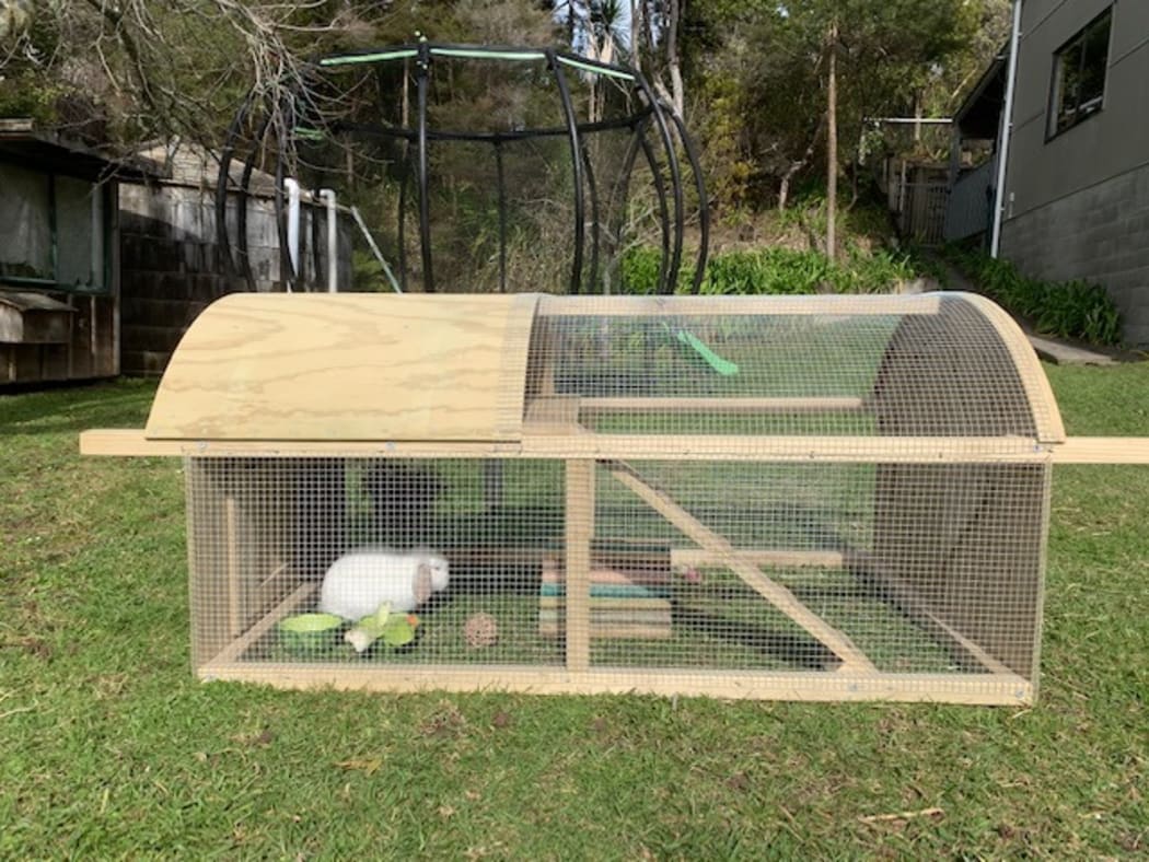 Hutch and Coop rabbit hutch