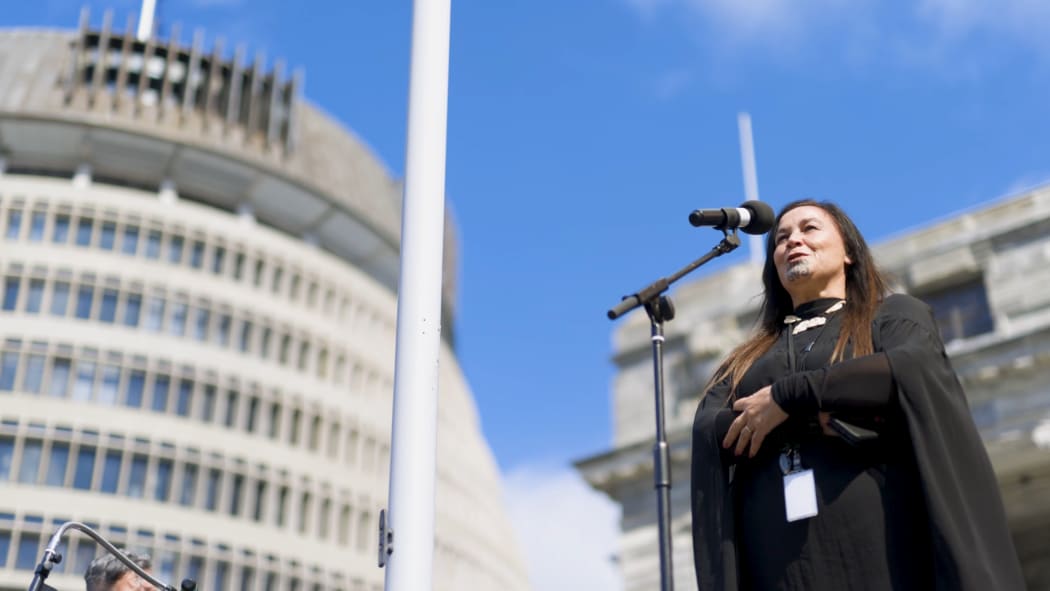 Māori Party co-leader Debbie Ngarewa-Packer gave a mihi to her niece who died during Hīkoi for Hope.