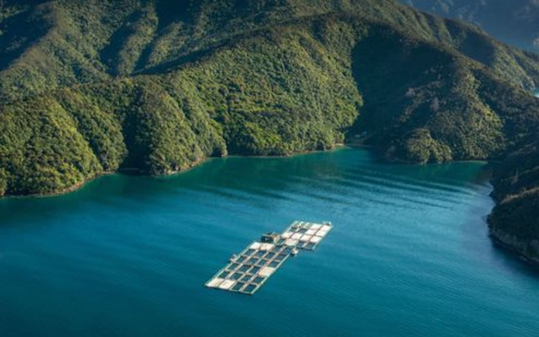 Salmon Farm