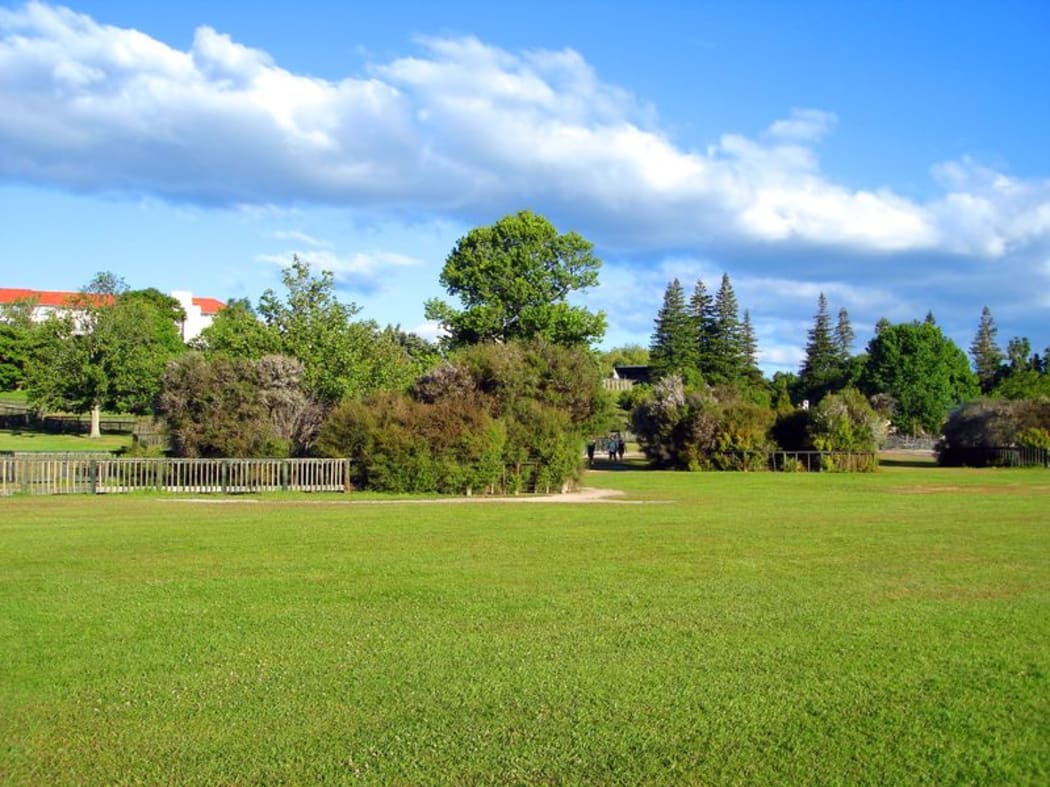 Kuirau Park in Rotorua has a children's playground and a city market.