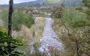 The Tongariro River.