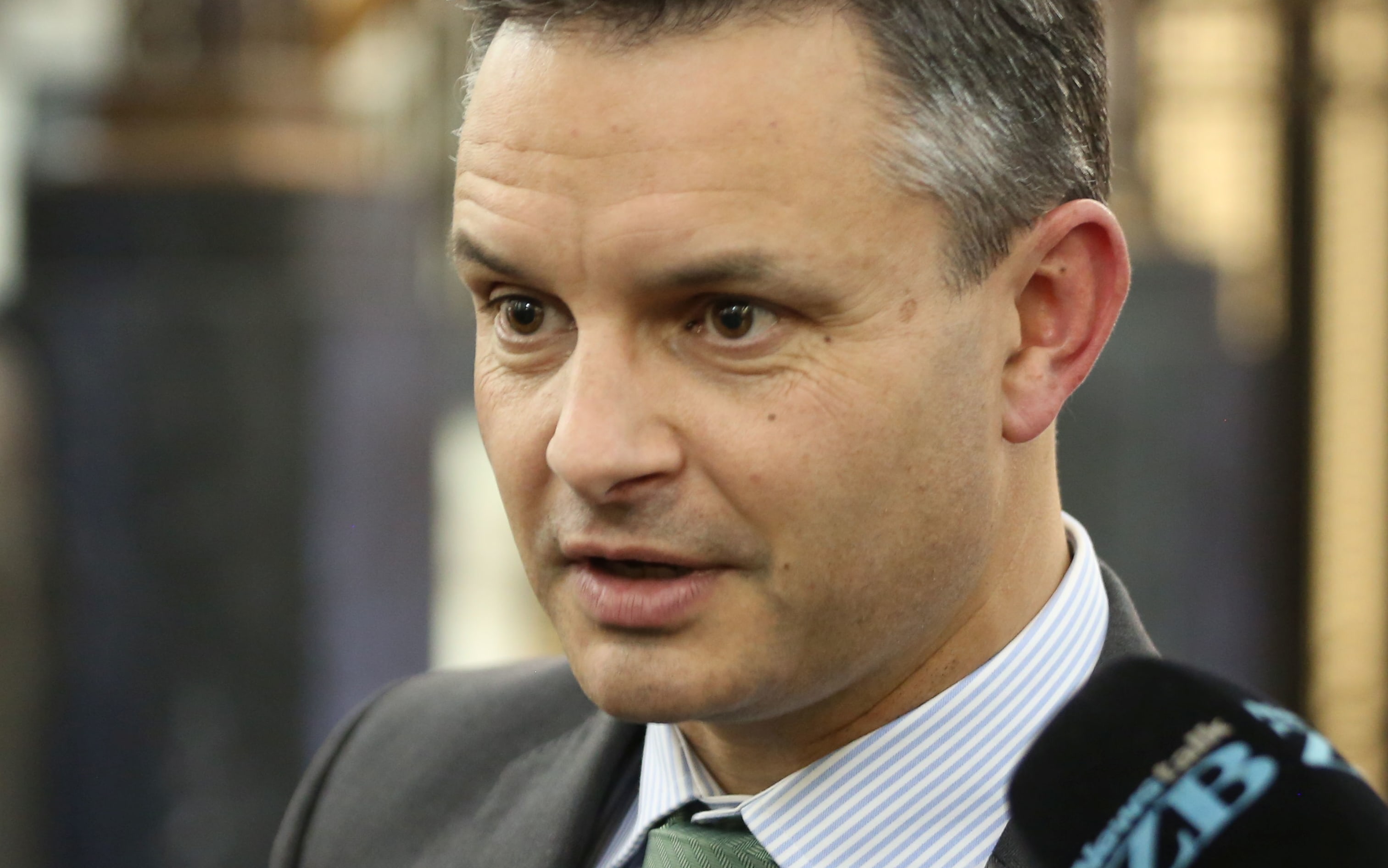 Green Party co-leader James Shaw speaking after Budget 2016.