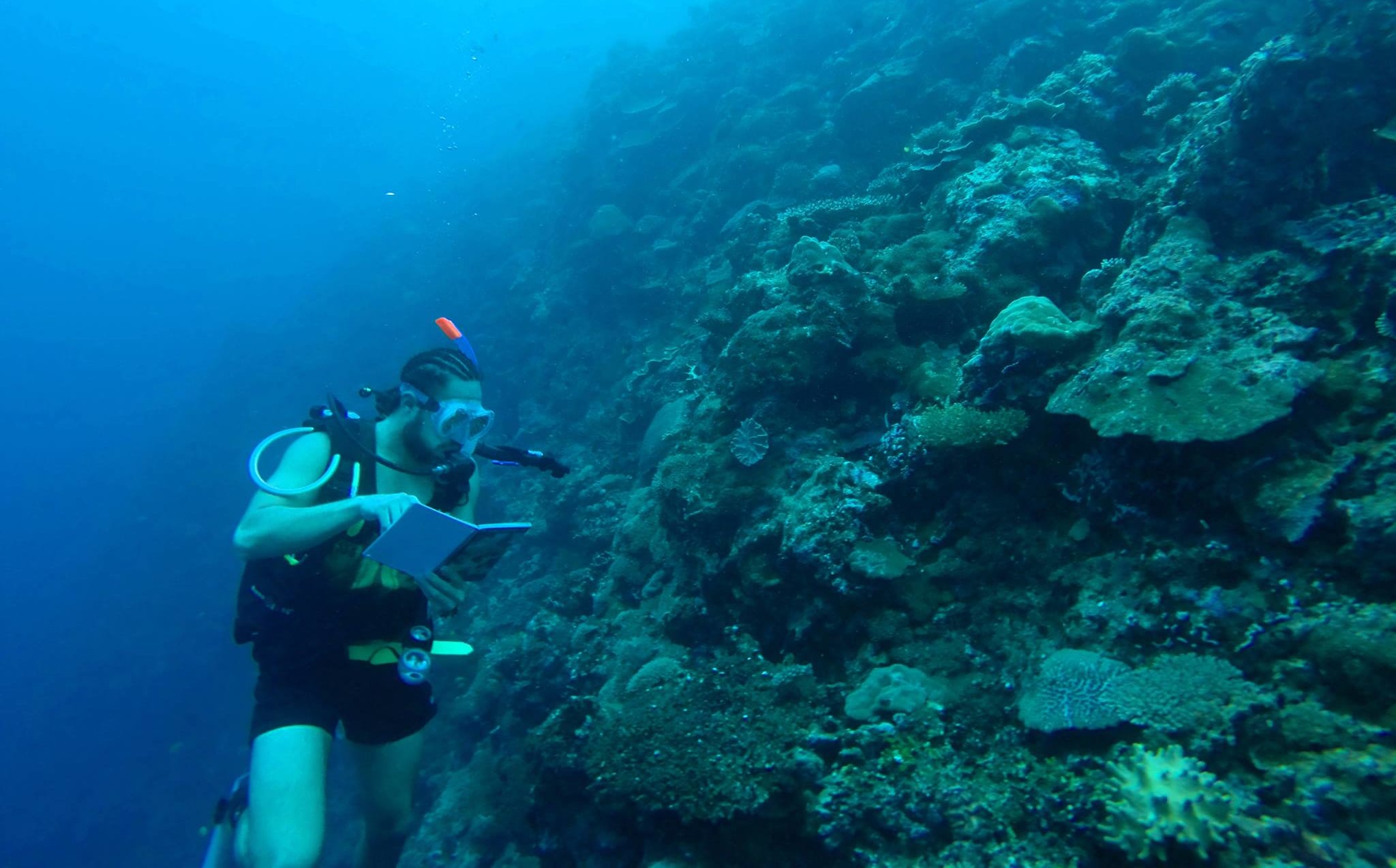 Antony Vavia identifying different substrate types in Coral in Solomon Islands.