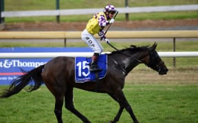Mark Du Plessis on Rock Diva wins the Auckland Cup at Ellerslie in March 2015.