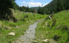 Existing riparian setback zones that will be established in native plants to create a permanent buffer around the waterways.