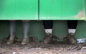 Festival goers at Glastonbury.