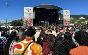 The crowd listening to Home Brew perform at an outdoor stage.