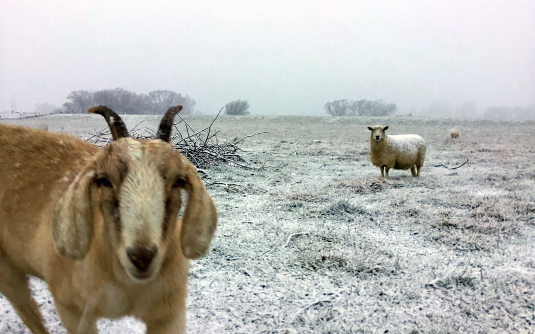 Snow at Fairlight in central Otago.