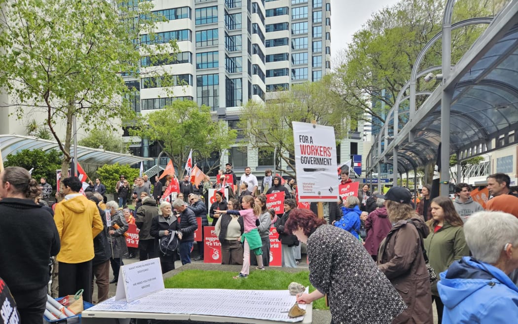 Hundreds attended Rā Whakamana rally in central Wellington.