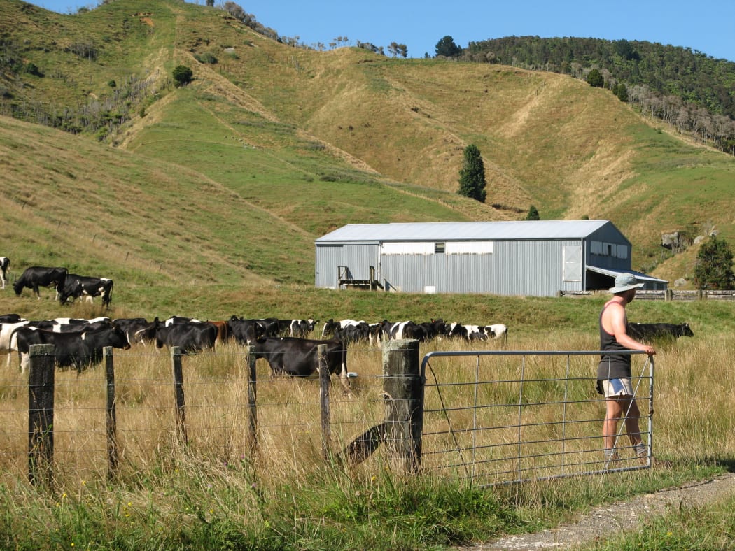 King Country farmland