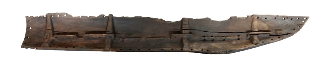 A matai plank that formed part of the oldest waka yet found in New Zealand, from Anaweka.