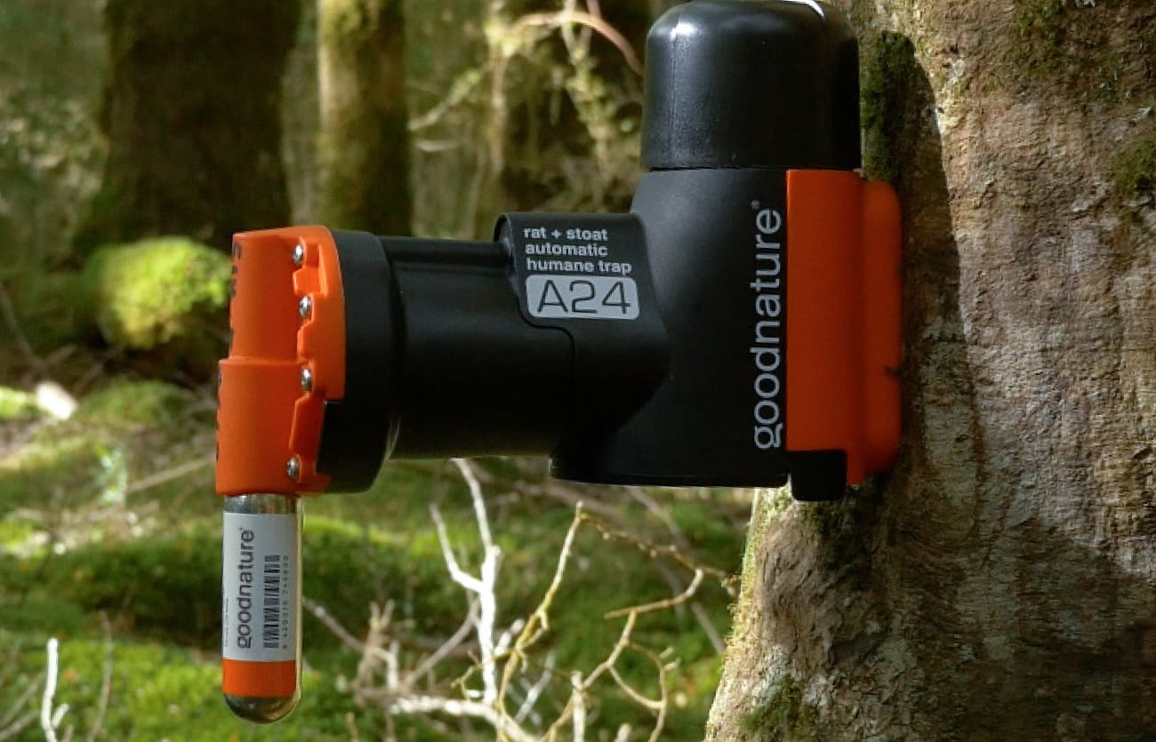 Goodnature self setting trap