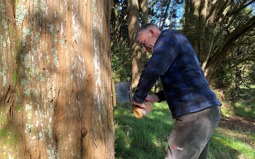 Geoff Crawford uses peanut butter to entice pests to the traps.
