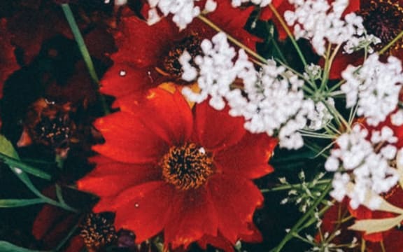 Hodie! Christmas with the Tudor Consort