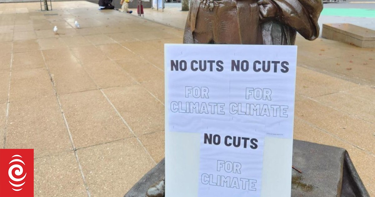 'Softening' of Auckland Council cuts - but to what degree? | RNZ