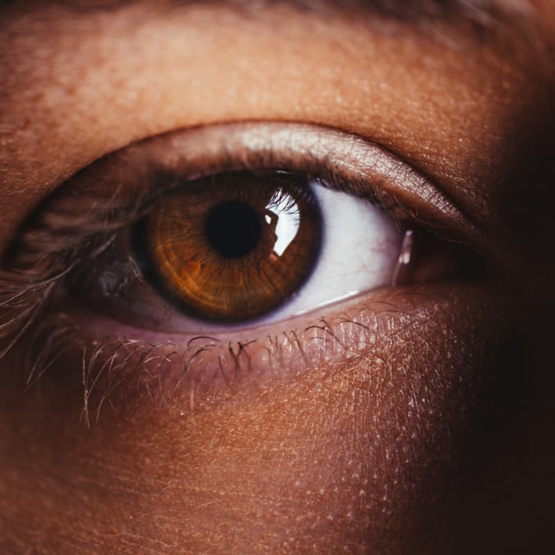 A close up of a pretty brown eye.
