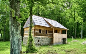 This is an image of a log cabin in the woods.