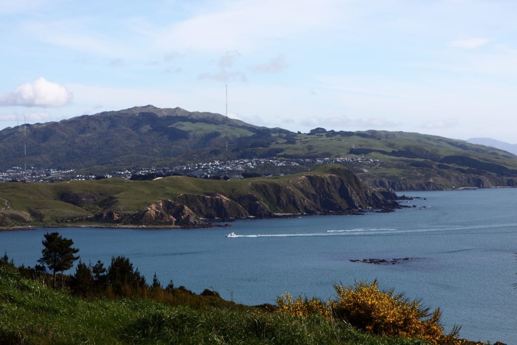 7511170 - porirua harbour new zealand