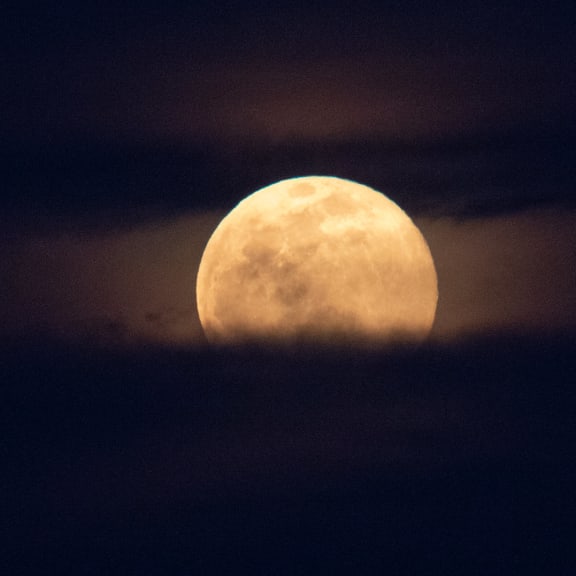 Photo for The moon is silently singing