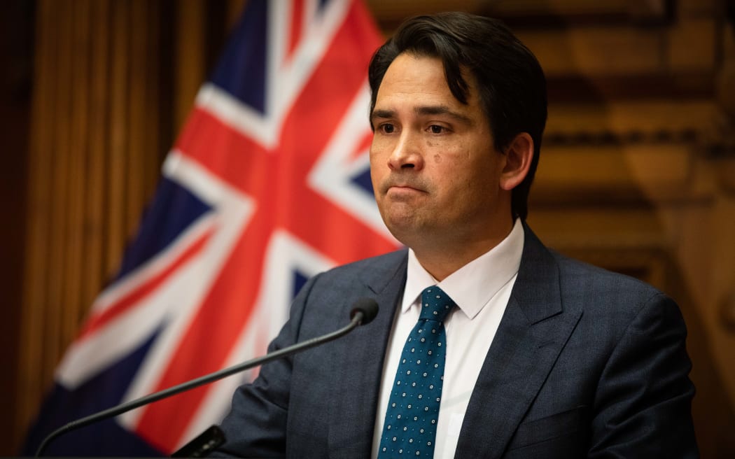 Simon Bridges addresses media after Judith Collins loses her leadership