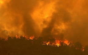 A fire driven by strong winds burns on a ridge in the suburb of Brigadoon in Perth