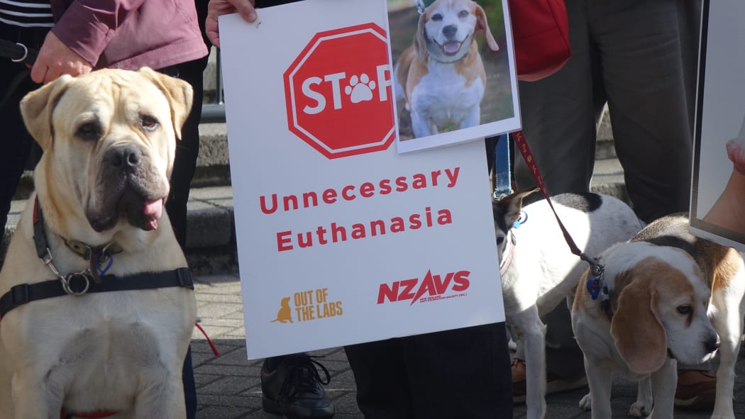 Dogs were part of a protest outside Parliament against euthanasing lab animals
