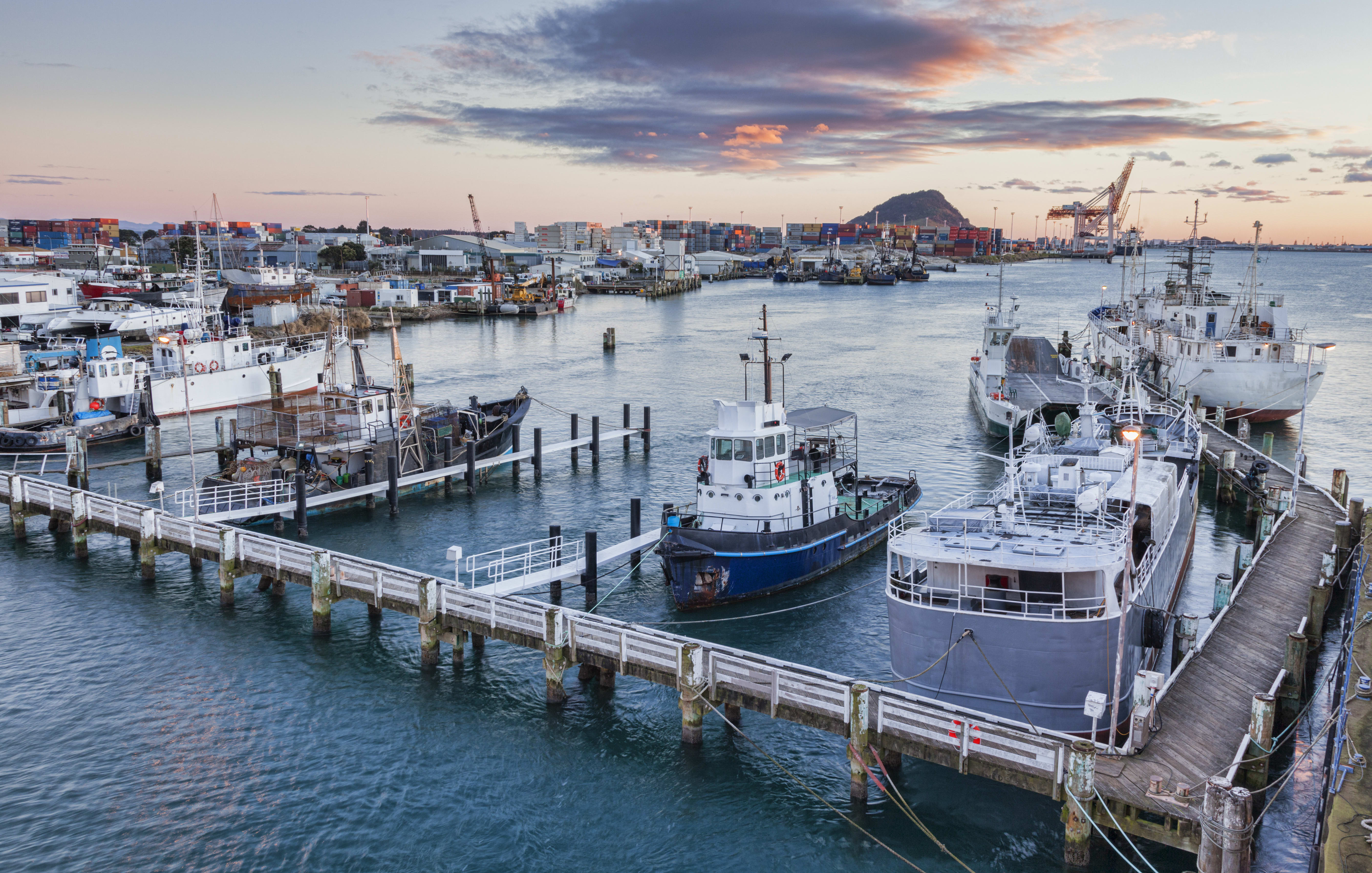 Tauranga Port, Bay of Plenty, with Mount Maunganui in the background.