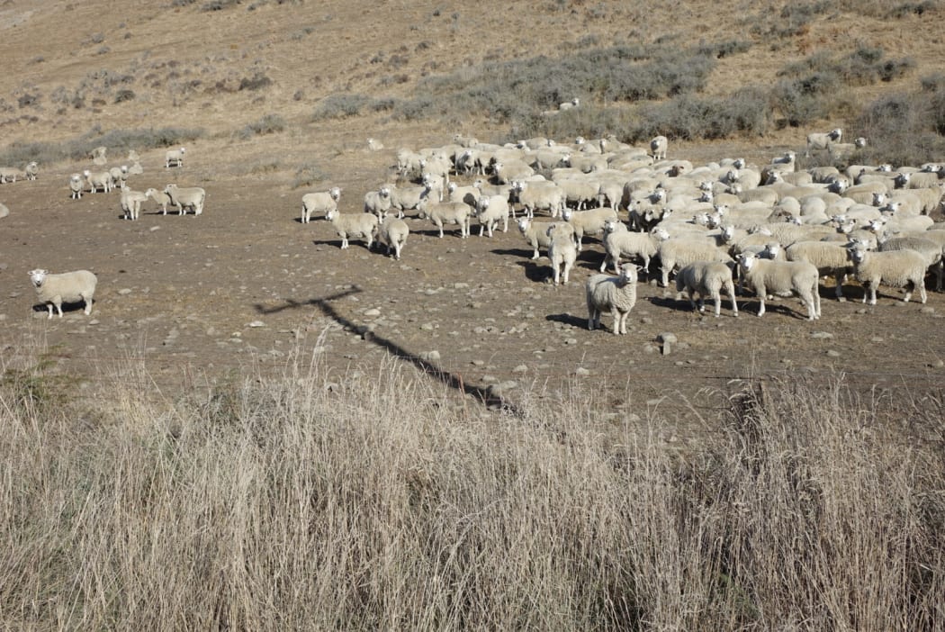 There has been no heavy rain in the area since June of last year.