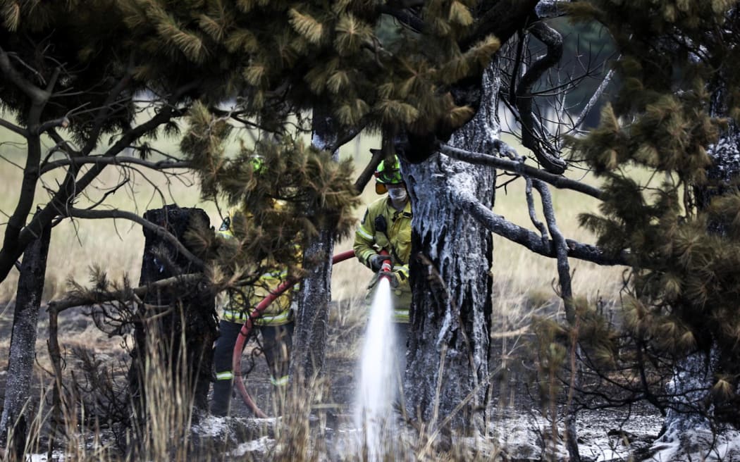 Firefighters work to put out a blaze near State Highway 1 near Burnham in Canterbury.