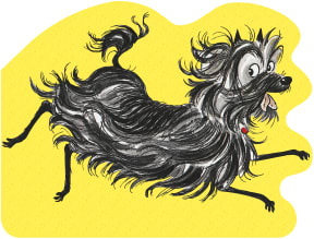 Hairy MacLary