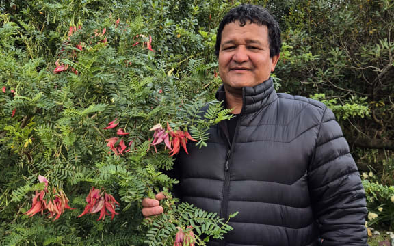 Graeme Atkins, a former DOC ranger, has been helping protect plants like the ngutukākā or kakabeak.