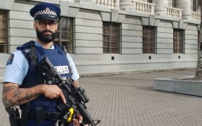 Armed police at parliament.