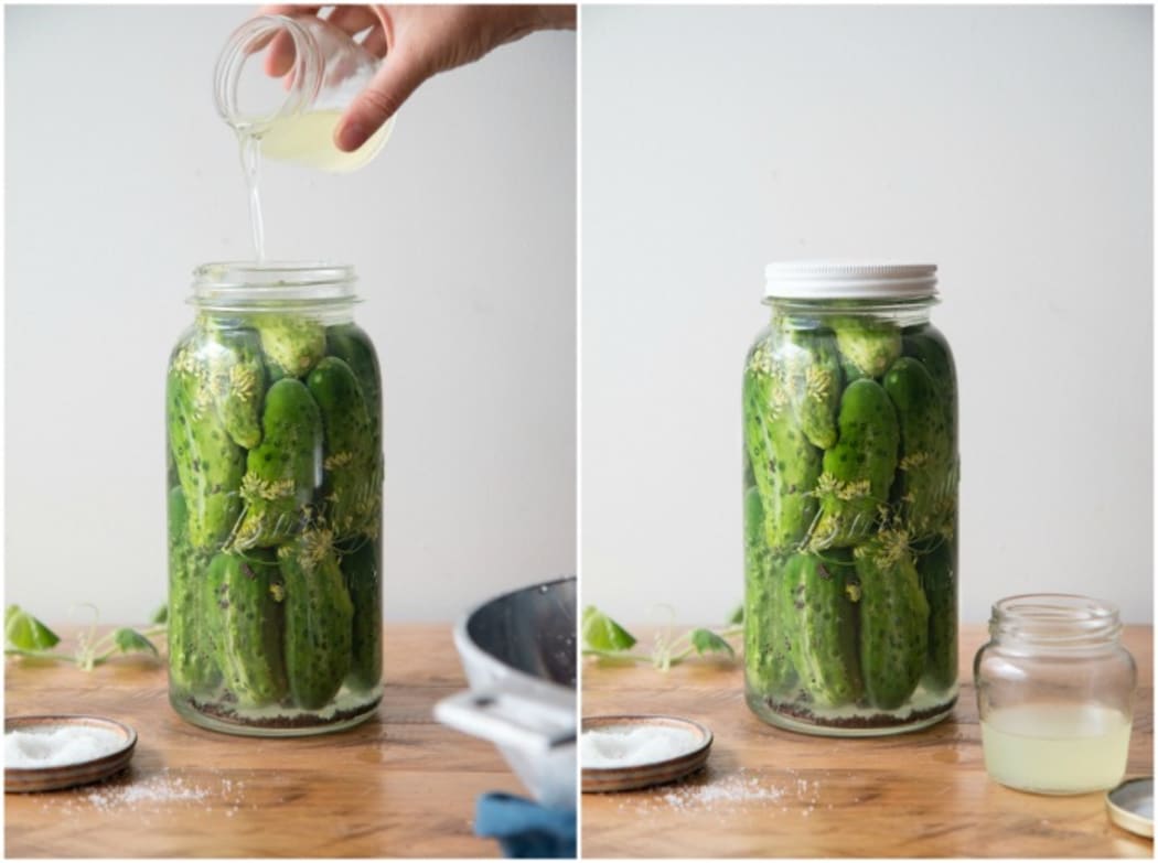 Probiotic Gherkins