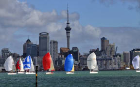 Yachts in Auckland